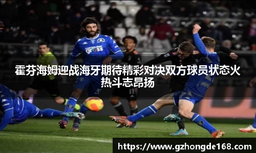 霍芬海姆迎战海牙期待精彩对决双方球员状态火热斗志昂扬